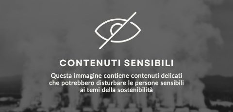 La verità sull’impatto sostenibile del digitale: #PixelAndPlanet